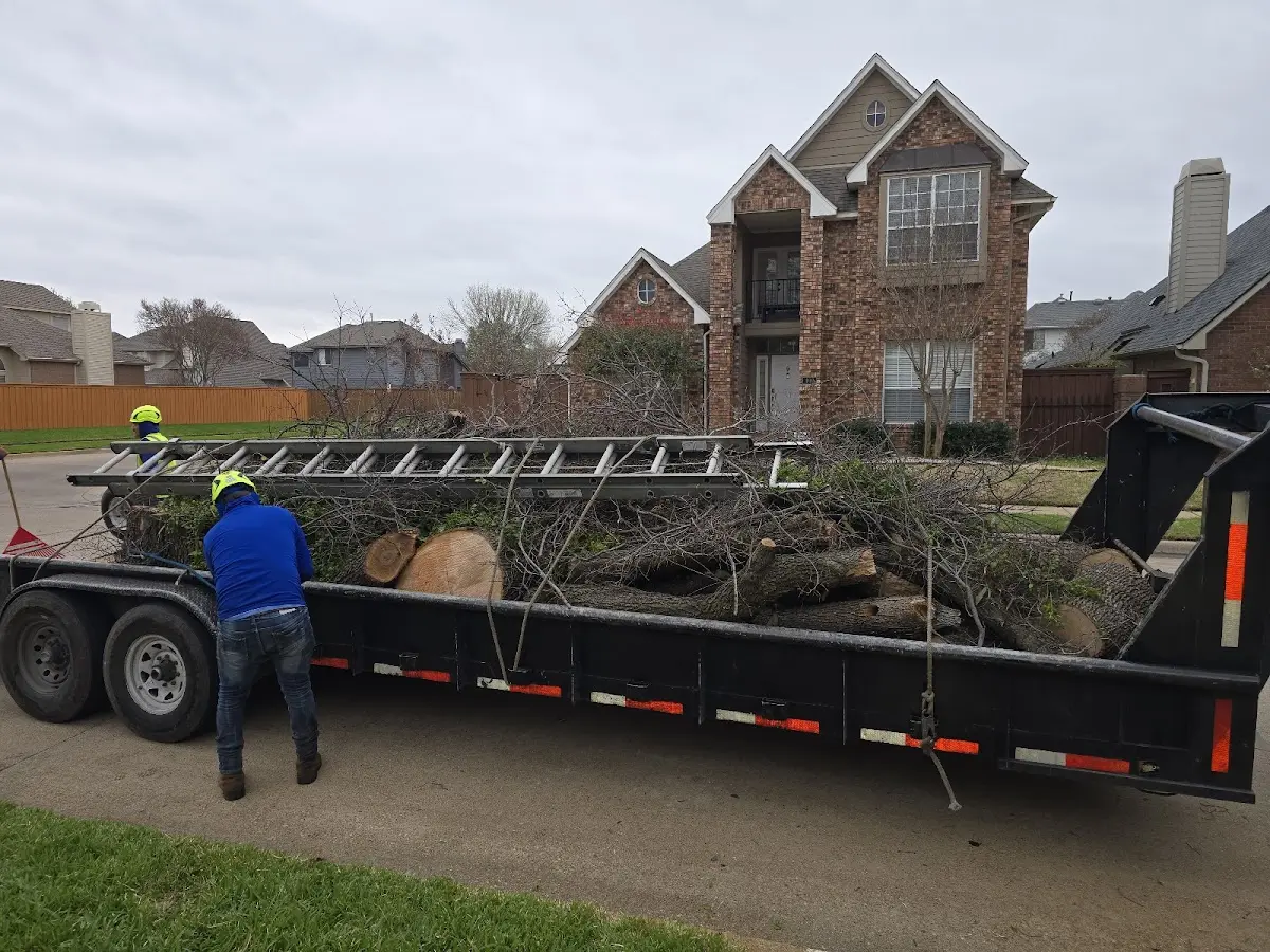 Expert Tree Pest Control with proper safety equipment in Mosheim